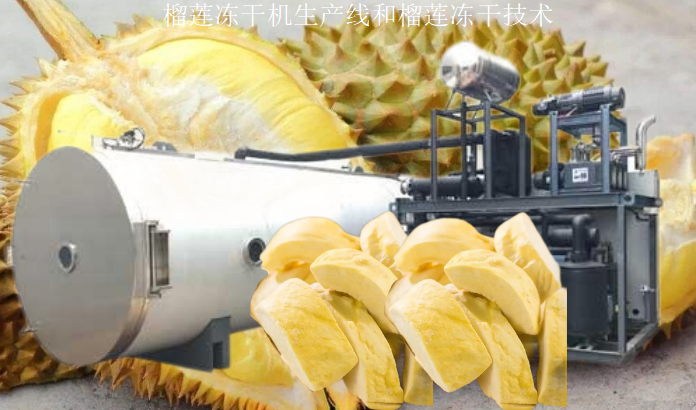 冷凍干燥機|凍干機|真空冷凍干燥機|大型冷凍干燥機|食品凍干機|制藥真空冷凍干燥機|食品凍干設備|制藥冷凍干燥機