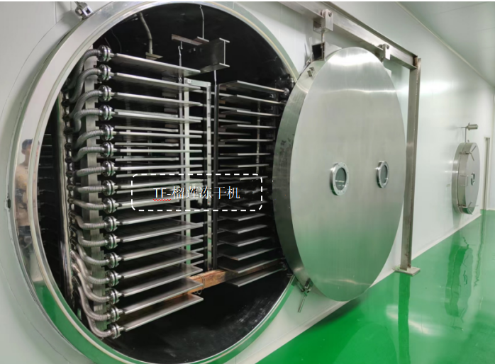 冷凍干燥機|凍干機|真空冷凍干燥機|大型冷凍干燥機|食品凍干機|制藥真空冷凍干燥機|食品凍干設備|制藥冷凍干燥機
