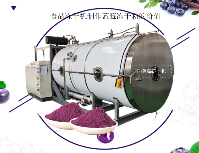 冷凍干燥機|凍干機|真空冷凍干燥機|大型冷凍干燥機|食品凍干機|制藥真空冷凍干燥機|食品凍干設(shè)備|制藥冷凍干燥機