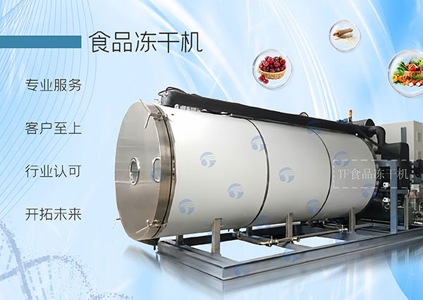 冷凍干燥機|凍干機|真空冷凍干燥機|大型冷凍干燥機|食品凍干機|制藥真空冷凍干燥機|食品凍干設備|制藥冷凍干燥機