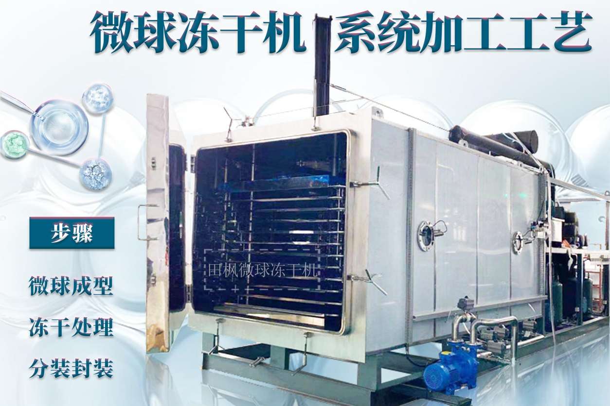 17307840264065.jpg 17307840264065.jpg