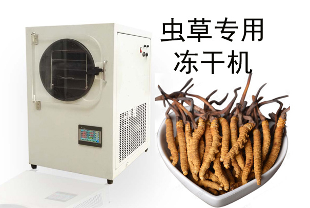 蟲草凍干機(jī)