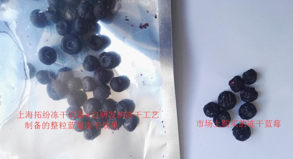 凍干藍莓